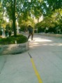 /album/christopher-andando-de-skate/bl4g29kciaiwsyd-jpg1/
